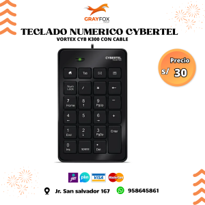 teclado numerico cybertel