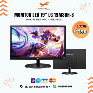 monitor led 19" lg 19m38h b